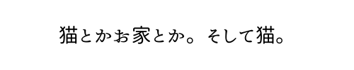 猫とかお家とか。そして猫。